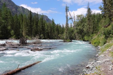 Altai Dağları arasında akan Kucherla Nehri, Rusya