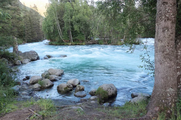 Rio Kucherla Fluindo Entre Montanhas Altai Pôr Sol Rússia — Fotografia de Stock