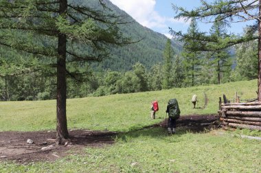 Sırt çantalı turistler Altai dağlarında, Ust-Koksinsky bölgesinde, Altai Cumhuriyeti, Rusya