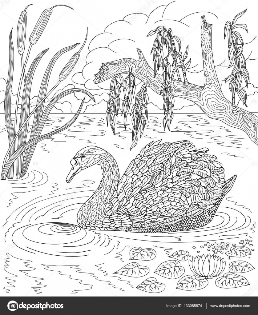 Uccello cigno nuotando in un lago con canne e ninfee disegnata a mano Pagina da colorare — Vettoriali di vitasunny
