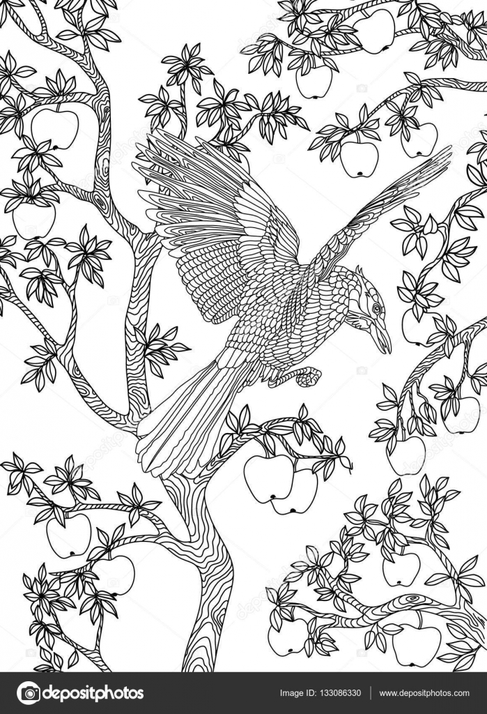 Hand Getrokken Bird Raaf Op Een Tak Appelboom Stockvector