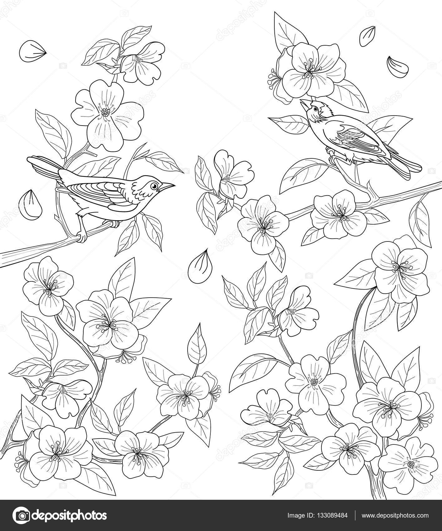 Buntute rodo oren sitik: Kleurplaat Volwassenen Bloemen