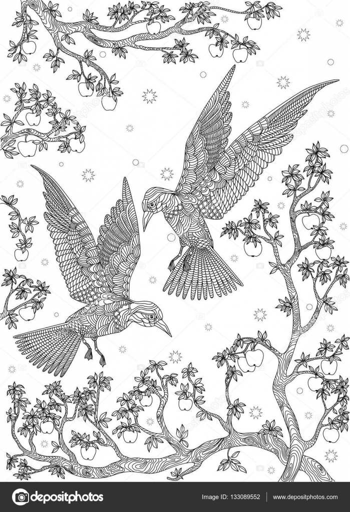 Uccello disegnato a mano uccelli su un ramo di melo — Vettoriale Stock
