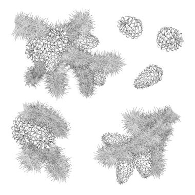 Noel ayarla çam dalları koniler ile el çekilmiş