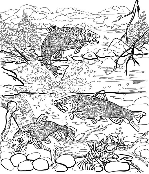 Underwater life on the river.  Hand drawn. Coloring page. — Stock Vector