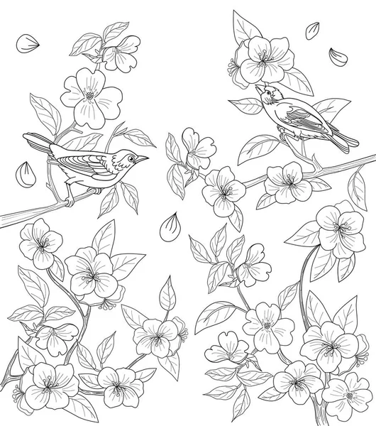 Coloriage pour adultes avec oiseaux et fleurs — Image vectorielle