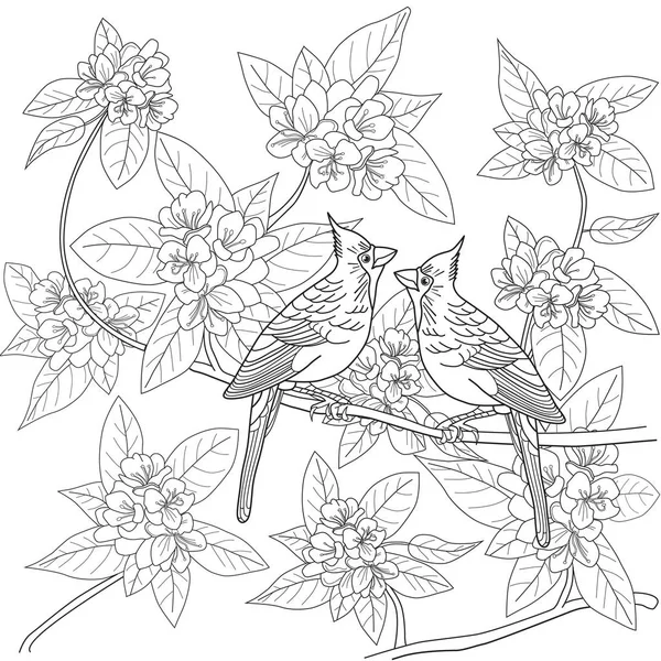 Página para colorear para adultos con pájaros y flores — Vector de stock