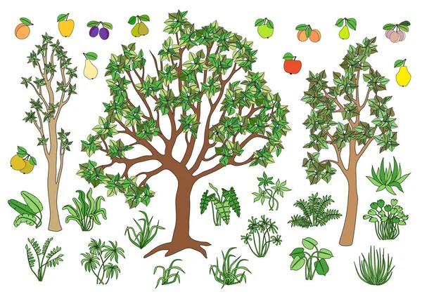 Állítsa be az elemeket a táj: a fák, bokrok, fű, gyümölcs — Stock Vector