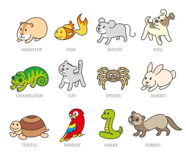 Animalerie, types d'animaux de compagnie — Image vectorielle