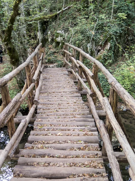 Schöne Brücke über den Fluss im Wald im Herbst — Stockfoto