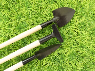 Bahçe ve bahar bahçe hakkında ilginç arka plan