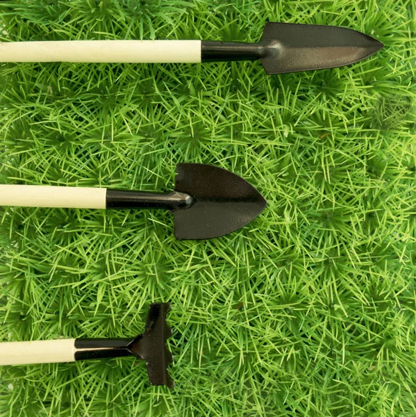 Arka plan bakım ve büyüme tarım hakkında ilginç ve 