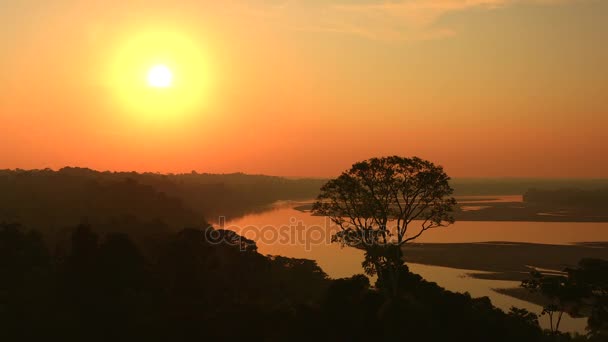 Повітряний постріл - тропічних лісів Амазонки - захід сонця — стокове відео