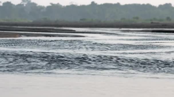 Río Amazonas Agua Del Río Amazonas Fluye Sobre Banco Arena — Vídeos de Stock