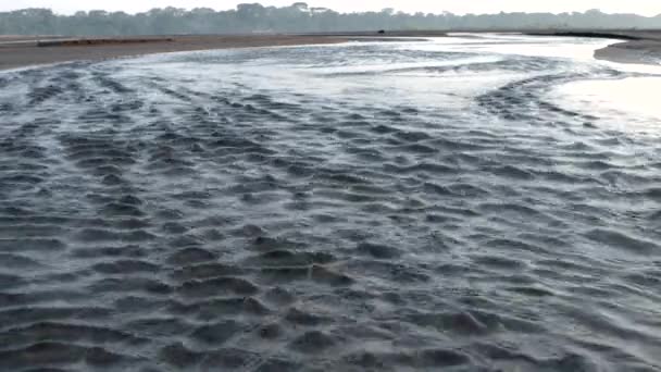 Amazonasfloden Vatten Från Amazonasfloden Flyter Över Sandbank Området Shore — Stockvideo