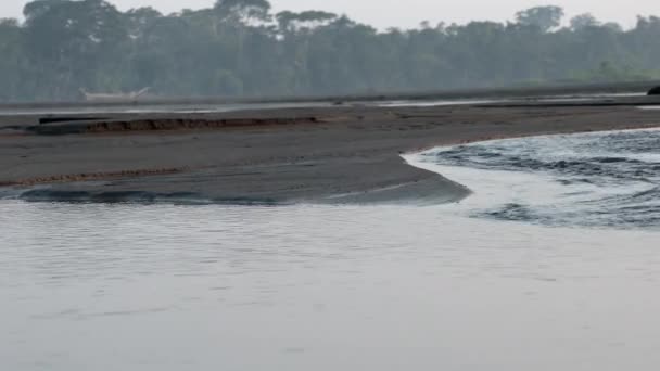 Amazonasfloden Vatten Från Amazonasfloden Flyter Över Sandbank Området Shore — Stockvideo