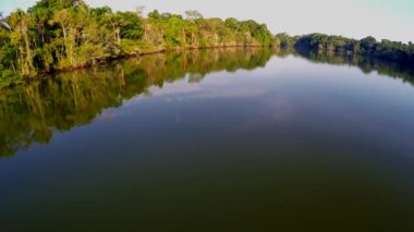 Hava - Amazon yağmur ormanları - epik uçuş 