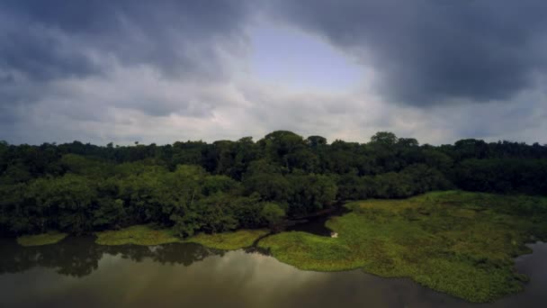 Amazonas-esőerdő - felhős ég — Stock videók