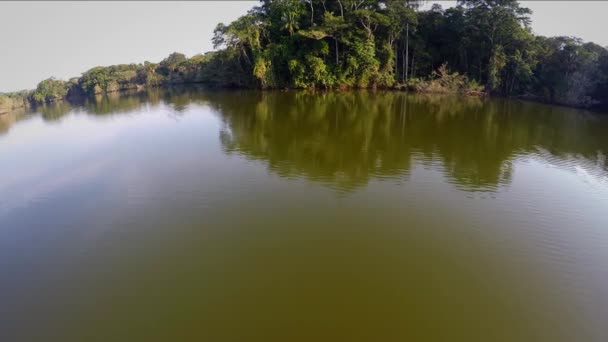 Antenn - Amazonas regnskog - episka flyg — Stockvideo