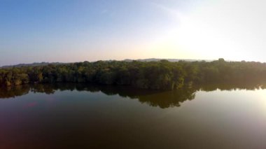 Amazon Rainforest şafak