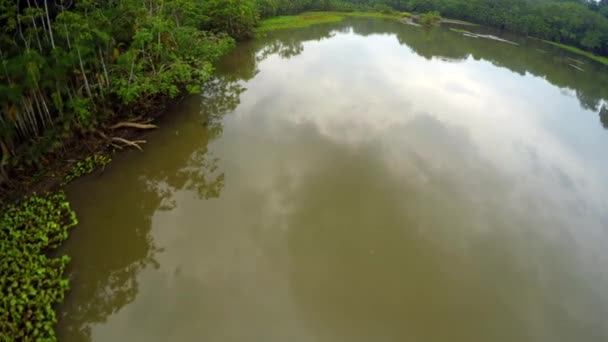 アマゾン熱帯雨林 - 湖 - 沼 — ストック動画