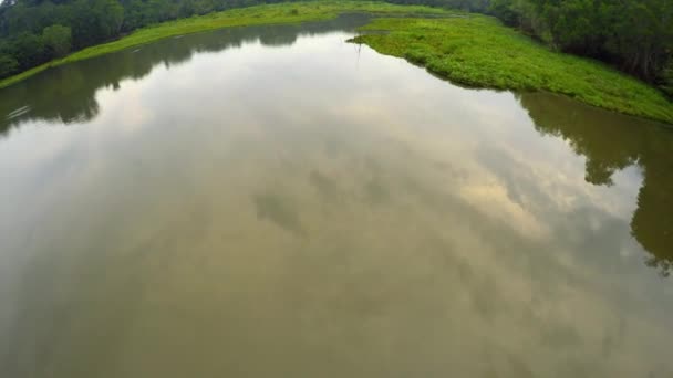亚马逊雨林-湖泊-沼泽 — 图库视频影像
