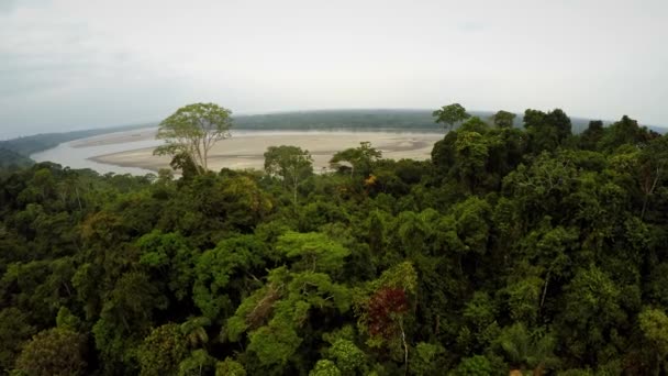 Selva Amazónica - cielo nublado — Vídeo de stock