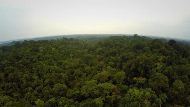Amazon Rainforest - ciel nuageux 
