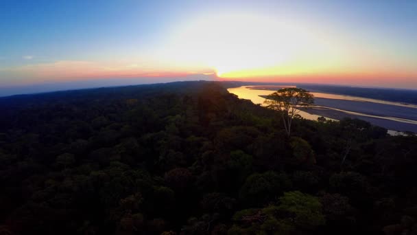 Tiro aéreo - Floresta Amazônica - Pôr do sol — Vídeo de Stock
