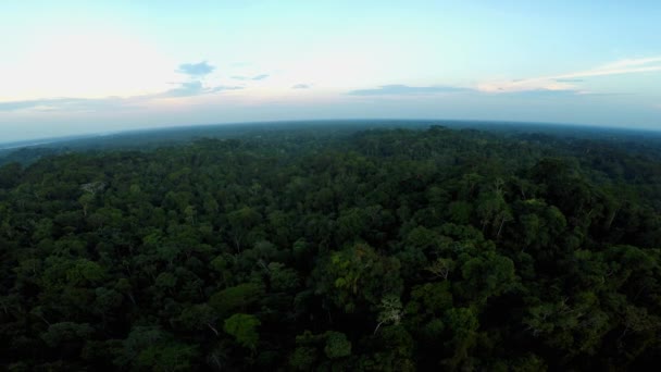 Amazonas regnskog - mulen himmel — Stockvideo