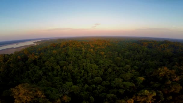 Aerial Shot - Selva Amazónica - Puesta del sol — Vídeo de stock