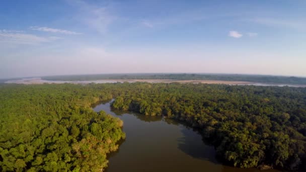 Hajnalban az Amazonas-esőerdő — Stock videók