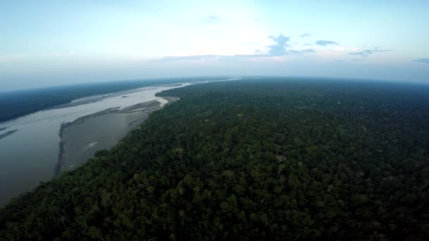 Amazoneregenwoud bij dageraad — Stockvideo