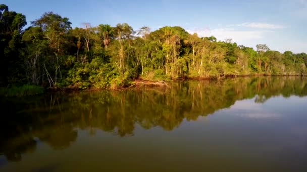 Aerial - Amazon Rainforest - эпический полет — стоковое видео