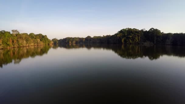 Aerial - Amazon Rainforest - эпический полет — стоковое видео