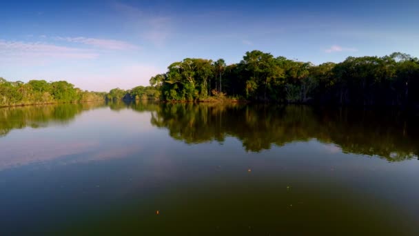 Aerea - Amazzonia foresta pluviale - volo epico — Video Stock