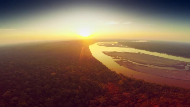 Antenn skott - Amazonas regnskog - Sunset — Stockvideo