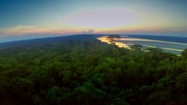 Aerial Shot - Selva Amazónica - Puesta del sol — Vídeo de stock