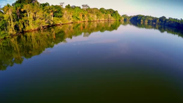 Antenn - Amazonas regnskog - episka flyg — Stockvideo