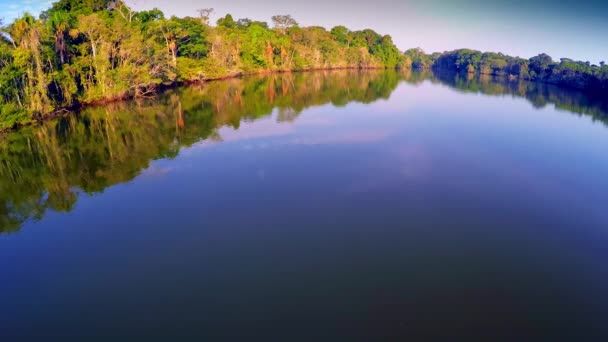 Εναέρια ΠΤΗΣΗΣ επική - τροπικό δάσος του Αμαζονίου- — Αρχείο Βίντεο