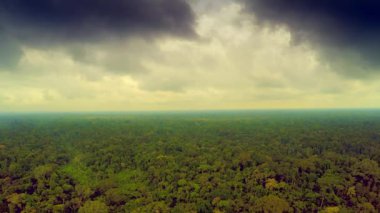 Amazon yağmur ormanları - bulutlu gökyüzü