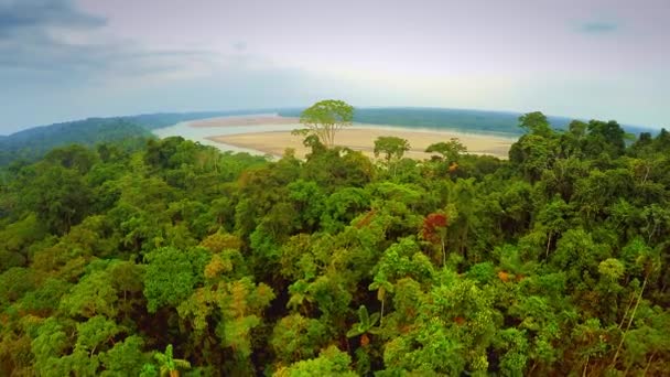 Selva Amazónica - cielo nublado — Vídeo de stock