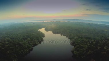 Amazon Rainforest şafak