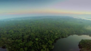 Amazon Rainforest şafak