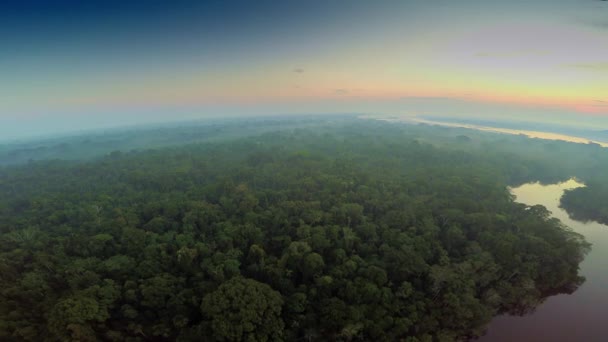 Amazon Rainforest at dawn — Stock Video
