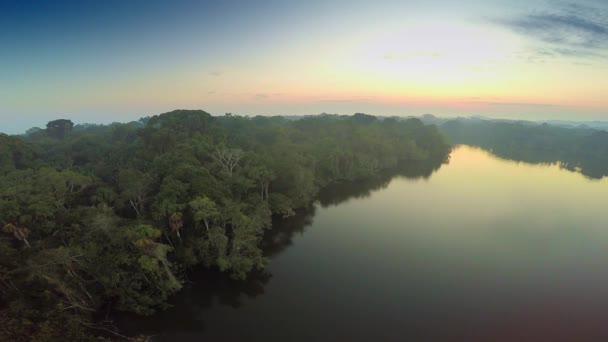 Amazonský prales za svítání — Stock video