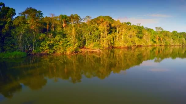 Antenn - Amazonas regnskog - episka flyg — Stockvideo