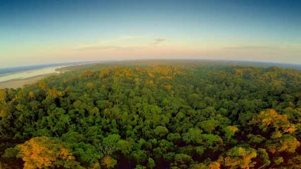 Aerial Shot - Selva Amazónica - Puesta del sol — Vídeos de Stock