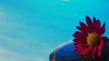 Su damlası - Slow Motion sıçramasına ile spa parlak zen stone