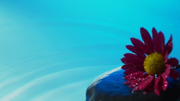 Spa Glänzender Zen Stein Mit Plätscherndem Wassertropfen Zeitlupe — Stockvideo